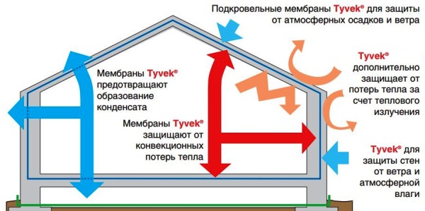 Принцип работы гидро-пароизоляционных пленок - схема