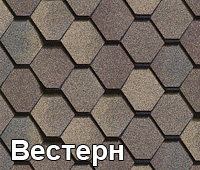 Вестерн